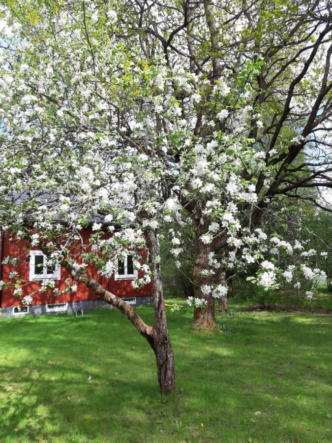 Charming Holiday Home Villa Berika Ekshärad Exterior foto